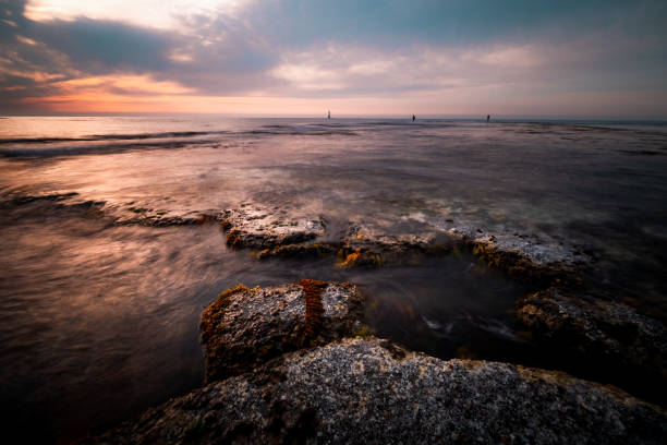 이용 전 확인해야 할 핵심 기준